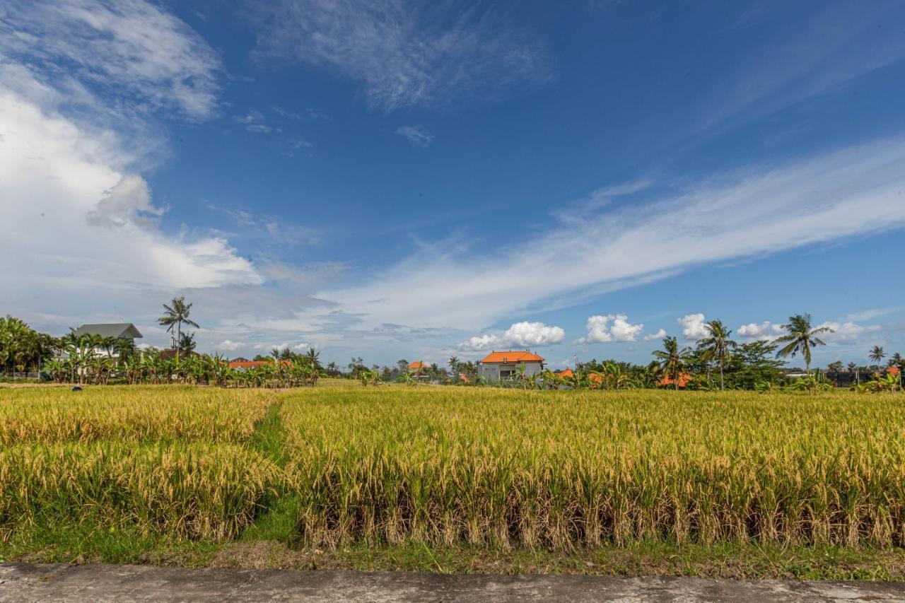 D'Jineng Rice Terrace Canggu מראה חיצוני תמונה